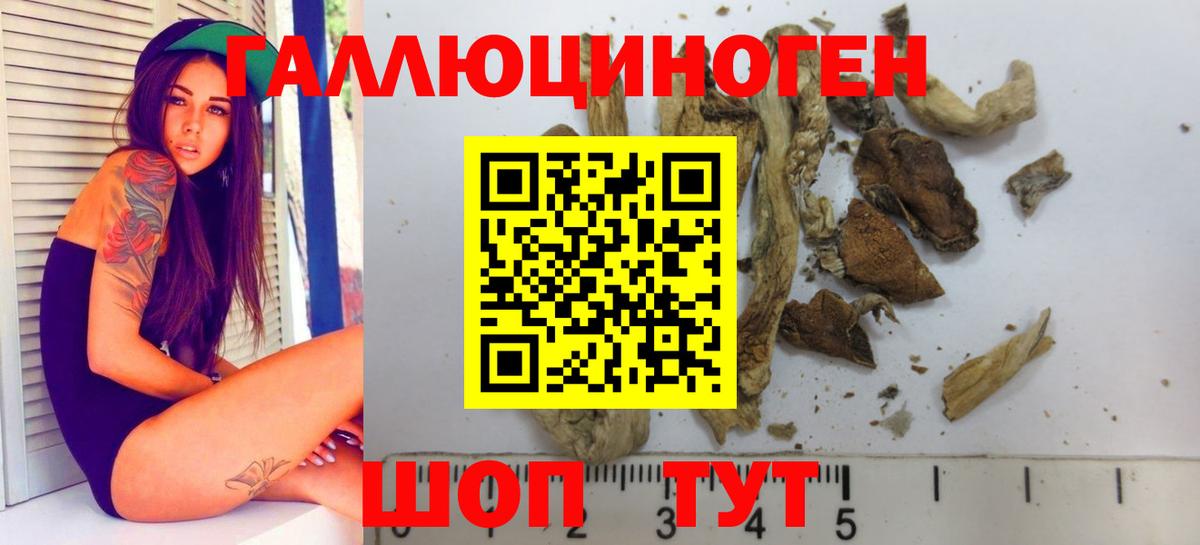 Псилоцибиновые грибы мицелий Камышин