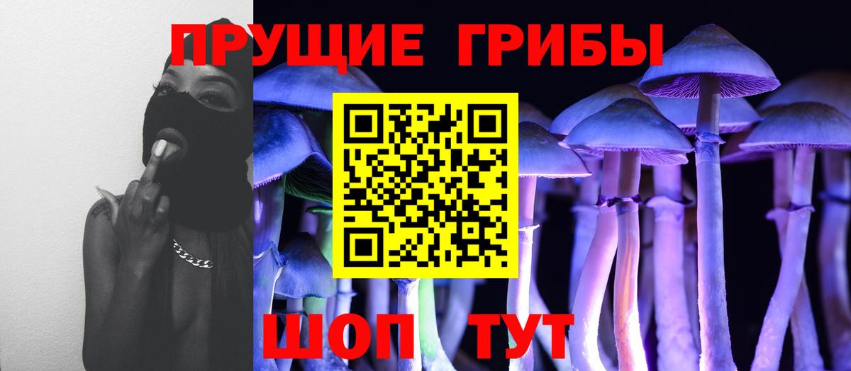 закладка  Вход с VPN  Камышин  Псилоцибиновые грибы Magic Shrooms 
